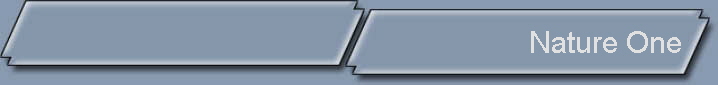 Nature One